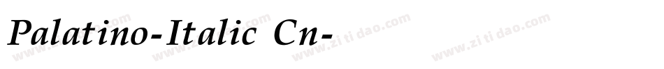 Palatino-Italic Cn字体转换